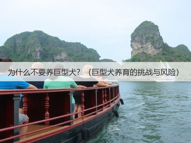 为什么不要养巨型犬？（巨型犬养育的挑战与风险）