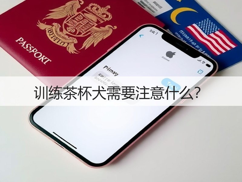 训练茶杯犬需要注意什么？