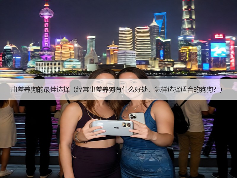 出差养狗的最佳选择（经常出差养狗有什么好处，怎样选择适合的狗狗？）