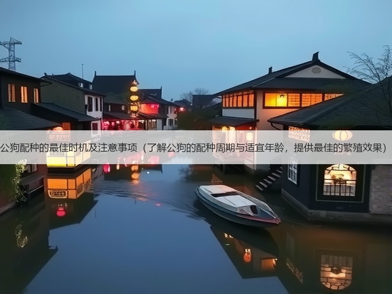 公狗配种的最佳时机及注意事项（了解公狗的配种周期与适宜年龄，提供最佳的繁殖效果）