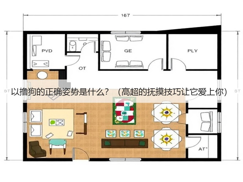 以撸狗的正确姿势是什么？（高超的抚摸技巧让它爱上你）