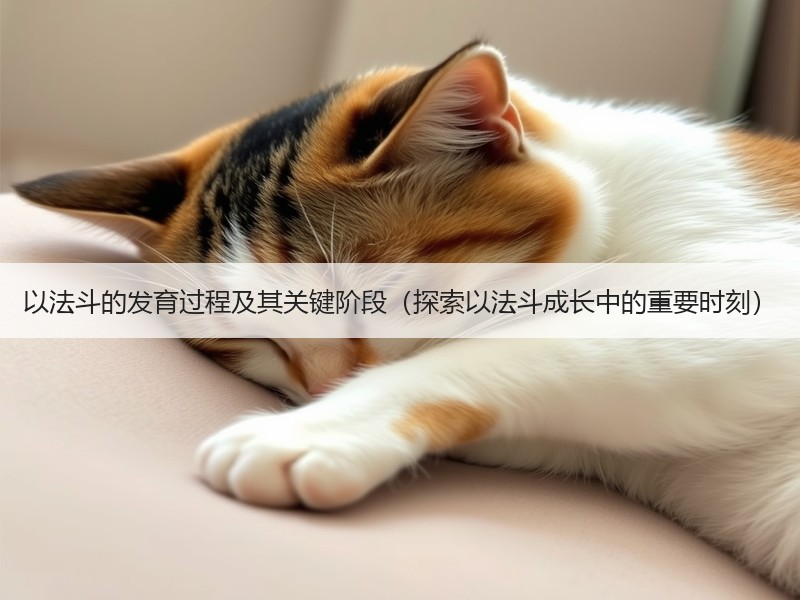 以法斗的发育过程及其关键阶段（探索以法斗成长中的重要时刻）