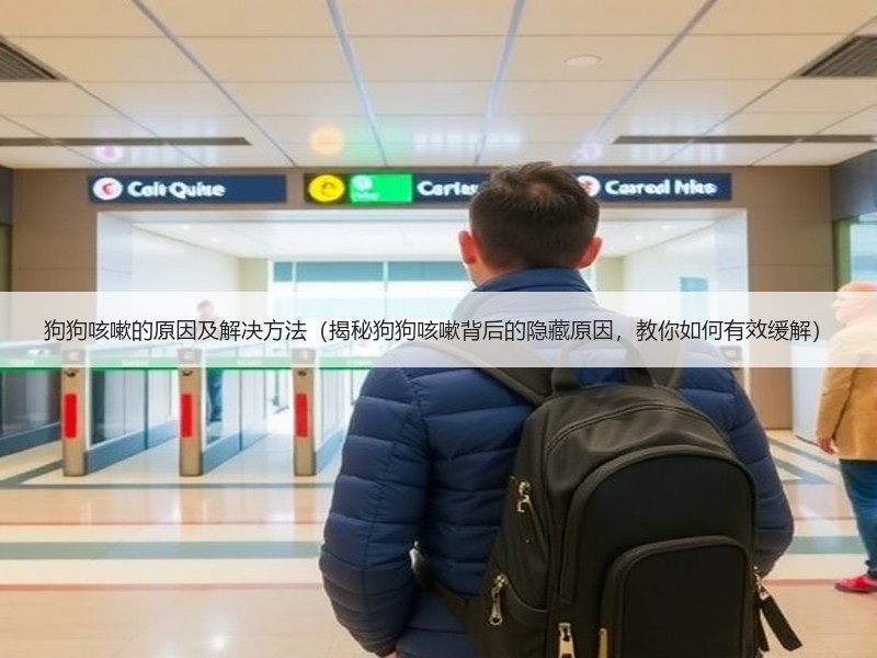 狗狗咳嗽的原因及解决方法（揭秘狗狗咳嗽背后的隐藏原因，教你如何有效缓解）
