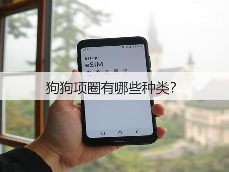 狗狗项圈有哪些种类？