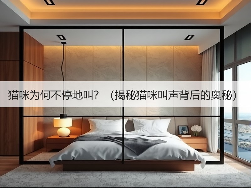 猫咪为何不停地叫？（揭秘猫咪叫声背后的奥秘）