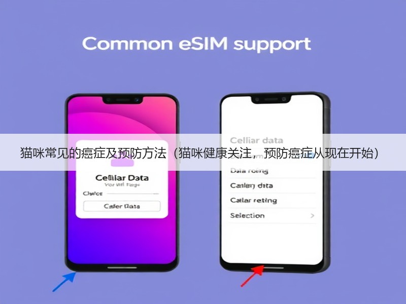 猫咪常见的癌症及预防方法（猫咪健康关注，预防癌症从现在开始）