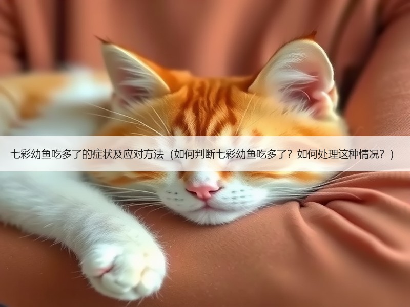 七彩幼鱼吃多了的症状及应对方法（如何判断七彩幼鱼吃多了？如何处理这种情况？）