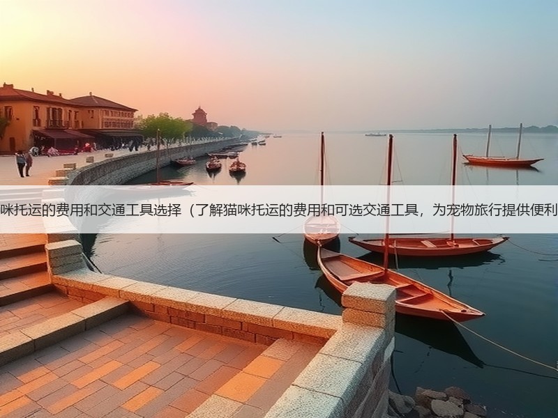 猫咪托运的费用和交通工具选择（了解猫咪托运的费用和可选交通工具，为宠物旅行提供便利）