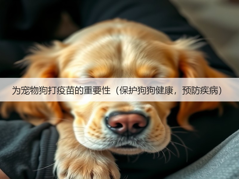为宠物狗打疫苗的重要性（保护狗狗健康，预防疾病）