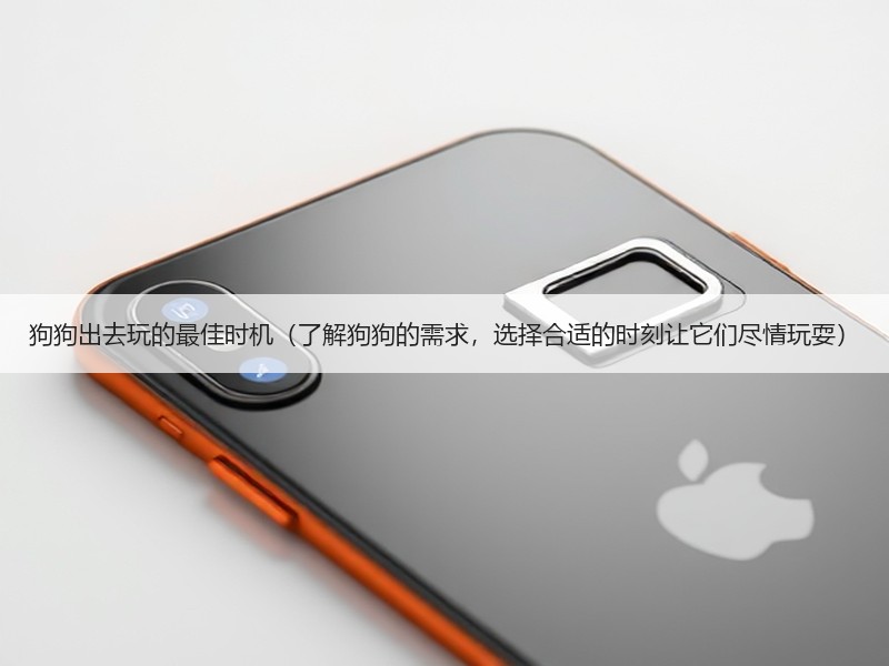 狗狗出去玩的最佳时机（了解狗狗的需求，选择合适的时刻让它们尽情玩耍）