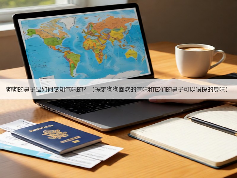狗狗的鼻子是如何感知气味的？（探索狗狗喜欢的气味和它们的鼻子可以嗅探的臭味）