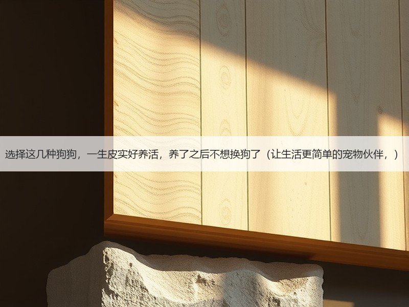 选择这几种狗狗，一生皮实好养活，养了之后不想换狗了（让生活更简单的宠物伙伴，）