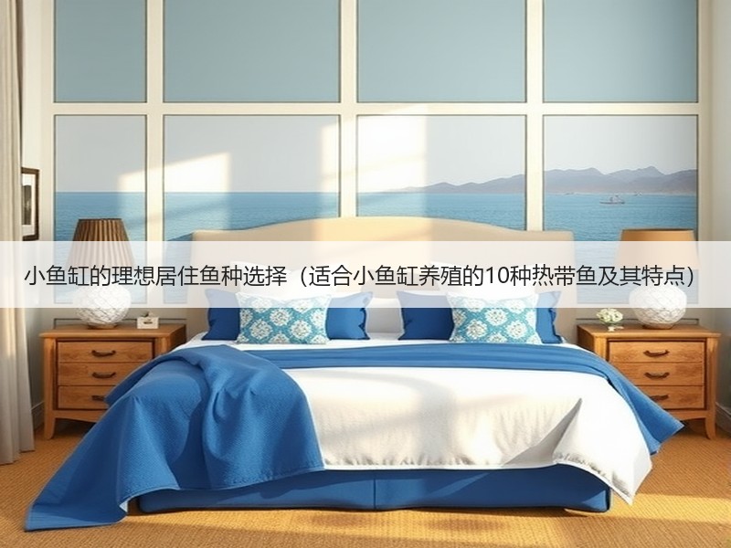 小鱼缸的理想居住鱼种选择（适合小鱼缸养殖的10种热带鱼及其特点）