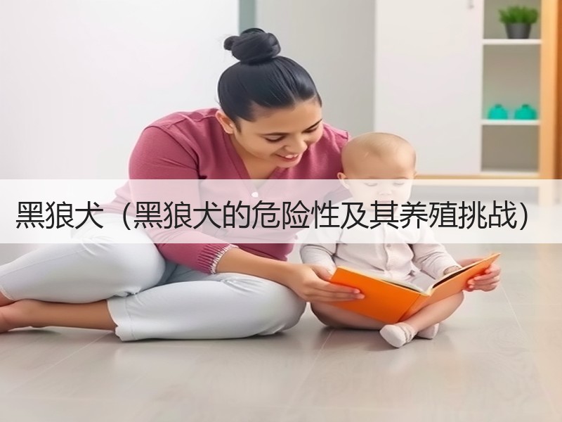 黑狼犬（黑狼犬的危险性及其养殖挑战）