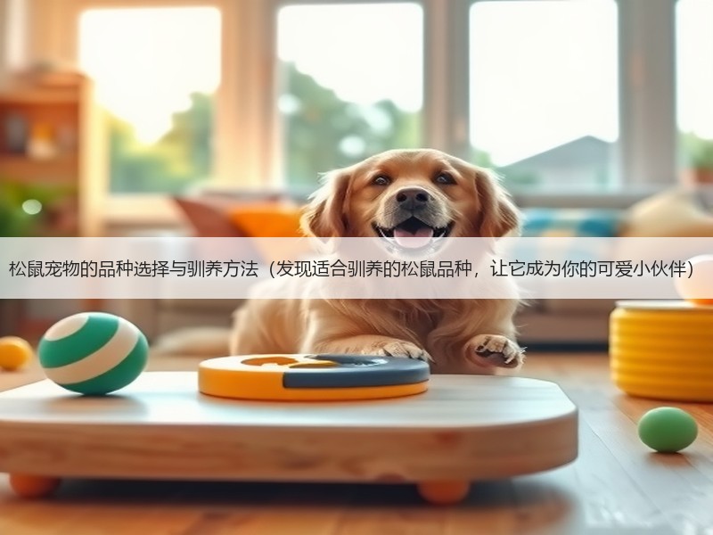 松鼠宠物的品种选择与驯养方法（发现适合驯养的松鼠品种，让它成为你的可爱小伙伴）