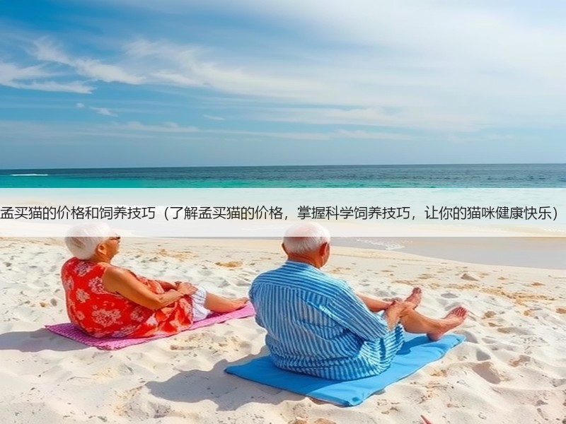 孟买猫的价格和饲养技巧（了解孟买猫的价格，掌握科学饲养技巧，让你的猫咪健康快乐）