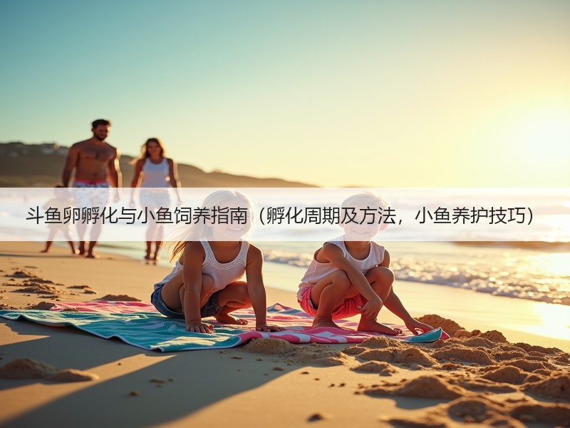 斗鱼卵孵化与小鱼饲养指南（孵化周期及方法，小鱼养护技巧）