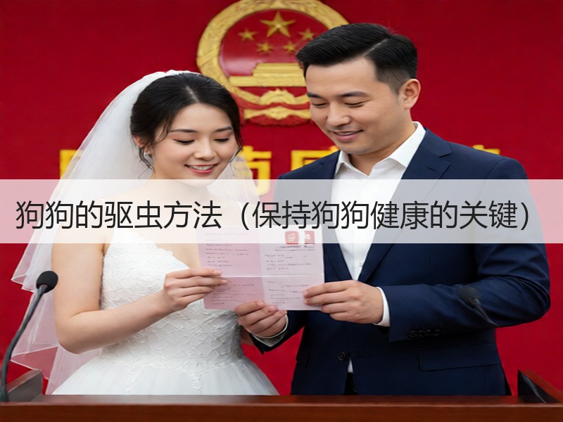 狗狗的驱虫方法（保持狗狗健康的关键）