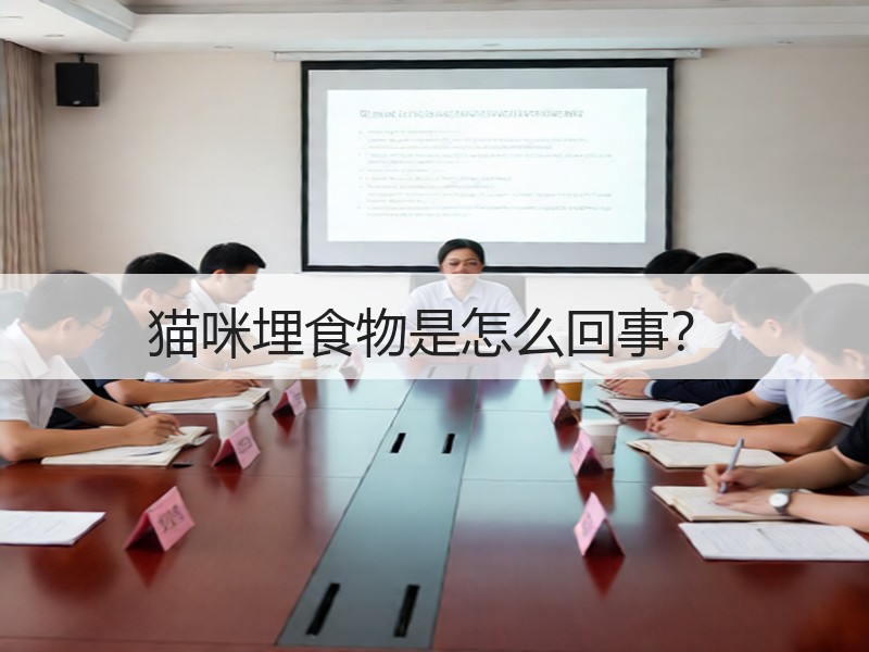 猫咪埋食物是怎么回事？