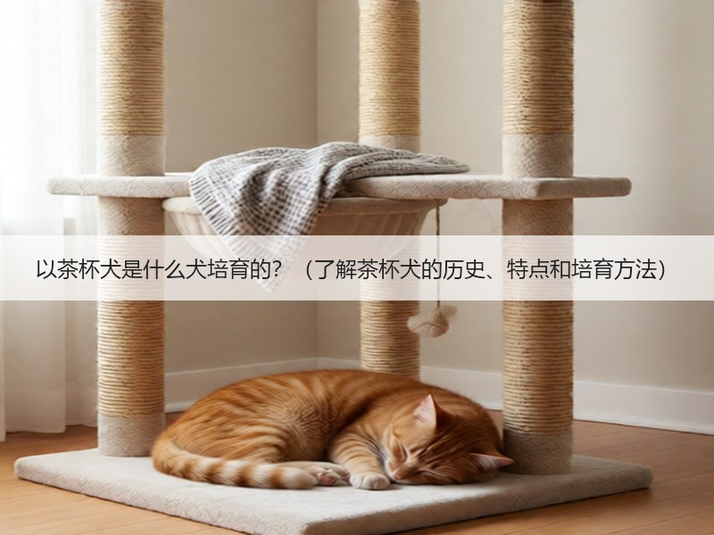 以茶杯犬是什么犬培育的？（了解茶杯犬的历史、特点和培育方法）