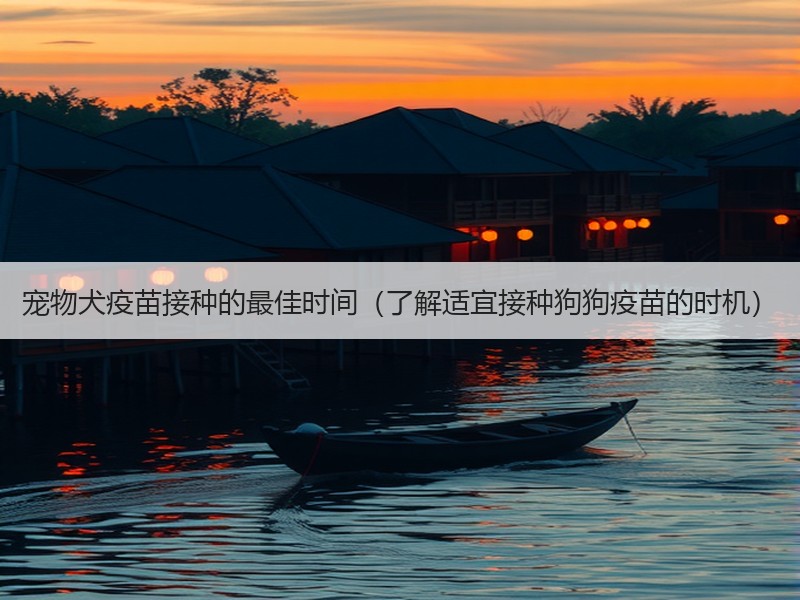 宠物犬疫苗接种的最佳时间（了解适宜接种狗狗疫苗的时机）