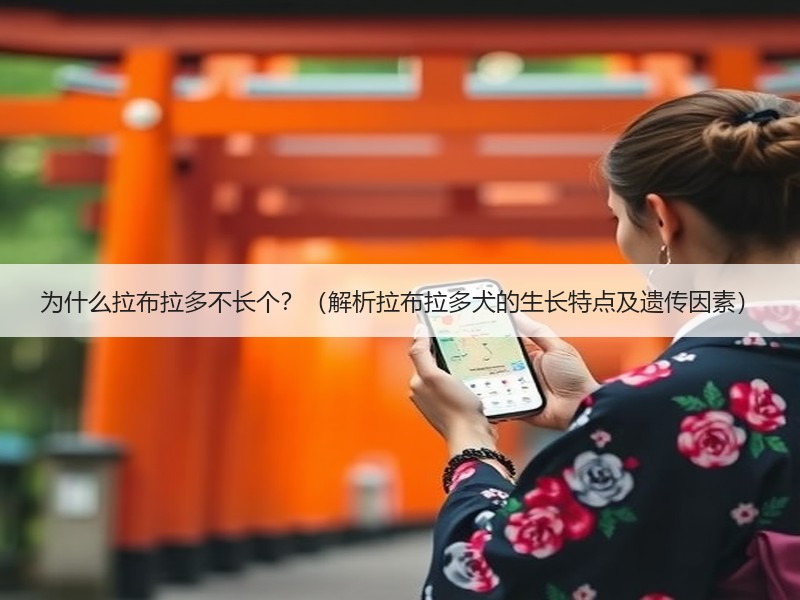 为什么拉布拉多不长个？（解析拉布拉多犬的生长特点及遗传因素）