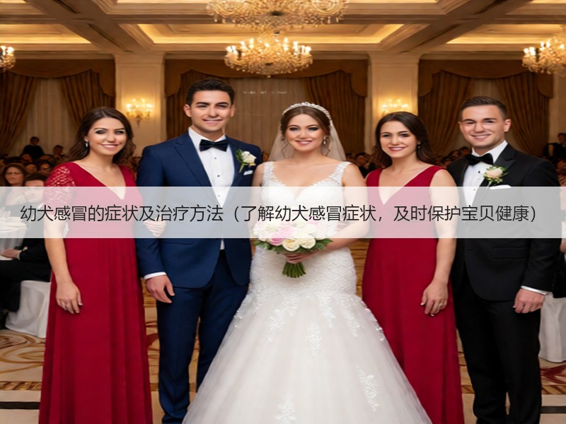 幼犬感冒的症状及治疗方法（了解幼犬感冒症状，及时保护宝贝健康）