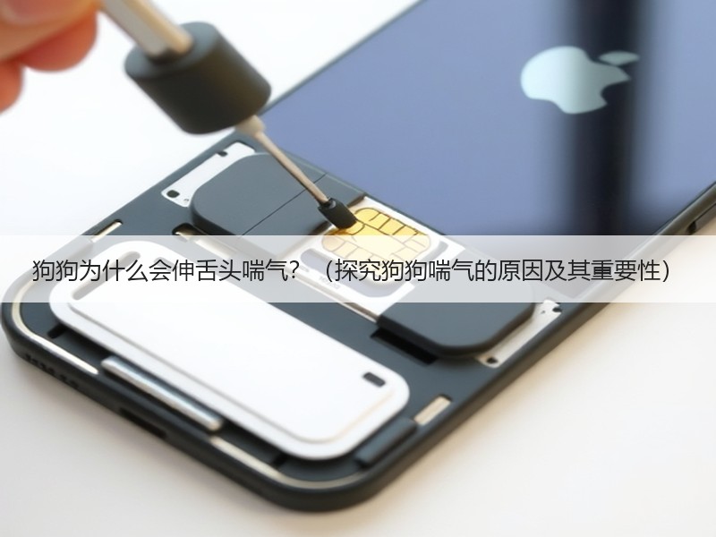 狗狗为什么会伸舌头喘气？（探究狗狗喘气的原因及其重要性）