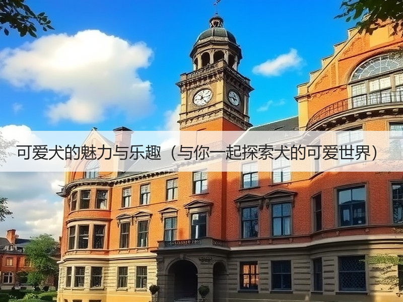 可爱犬的魅力与乐趣（与你一起探索犬的可爱世界）
