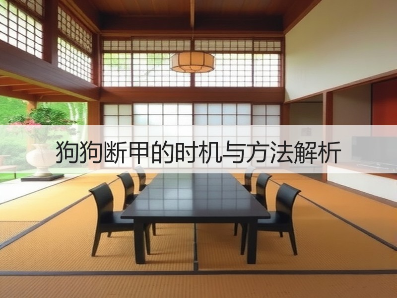 狗狗断甲的时机与方法解析