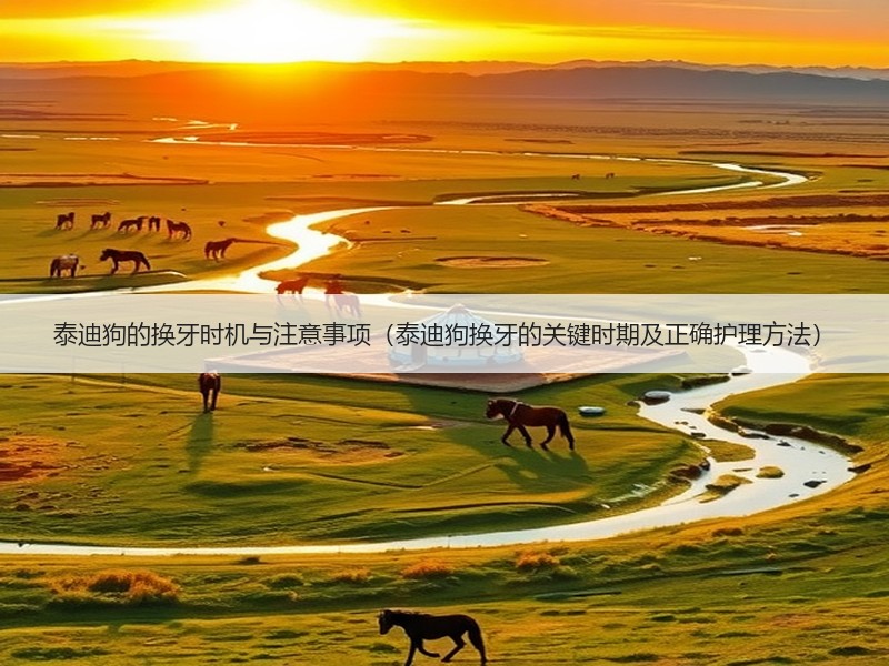 泰迪狗的换牙时机与注意事项（泰迪狗换牙的关键时期及正确护理方法）