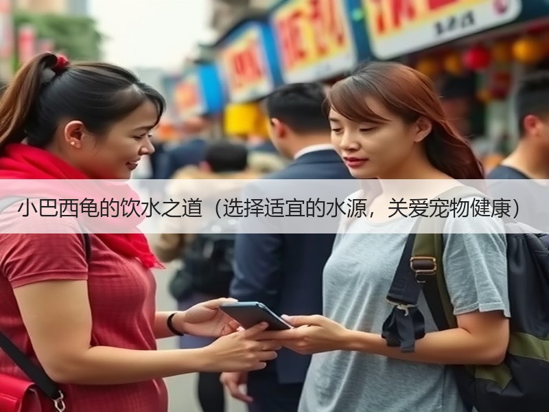 小巴西龟的饮水之道（选择适宜的水源，关爱宠物健康）