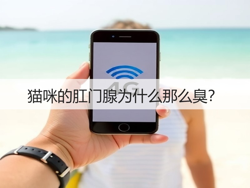 猫咪的肛门腺为什么那么臭？