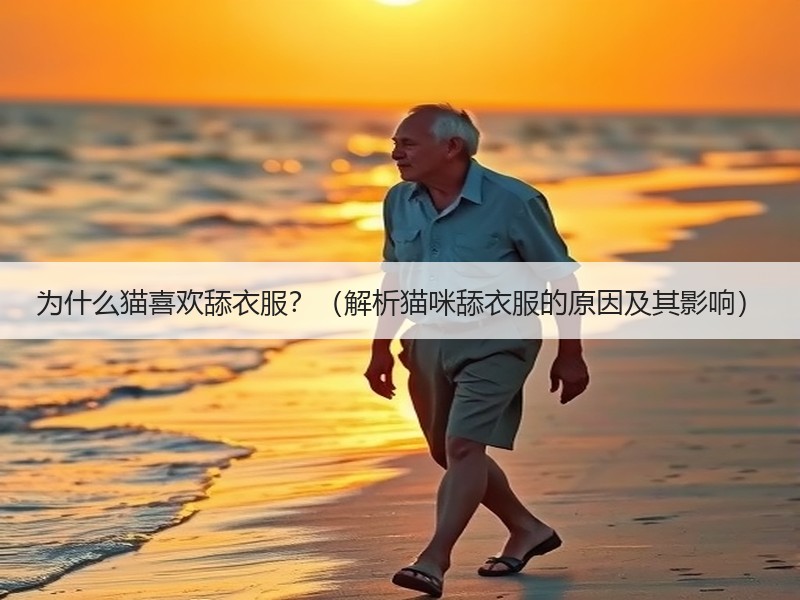 为什么猫喜欢舔衣服？（解析猫咪舔衣服的原因及其影响）