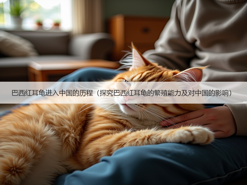 巴西红耳龟进入中国的历程（探究巴西红耳龟的繁殖能力及对中国的影响）