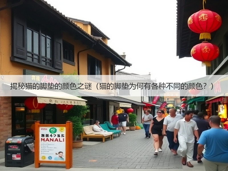 揭秘猫的脚垫的颜色之谜（猫的脚垫为何有各种不同的颜色？）