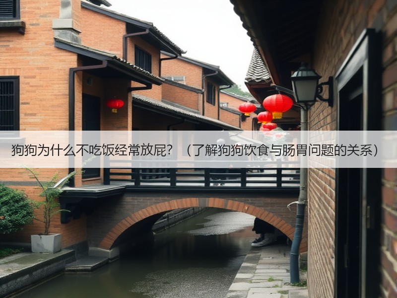 狗狗为什么不吃饭经常放屁？（了解狗狗饮食与肠胃问题的关系）