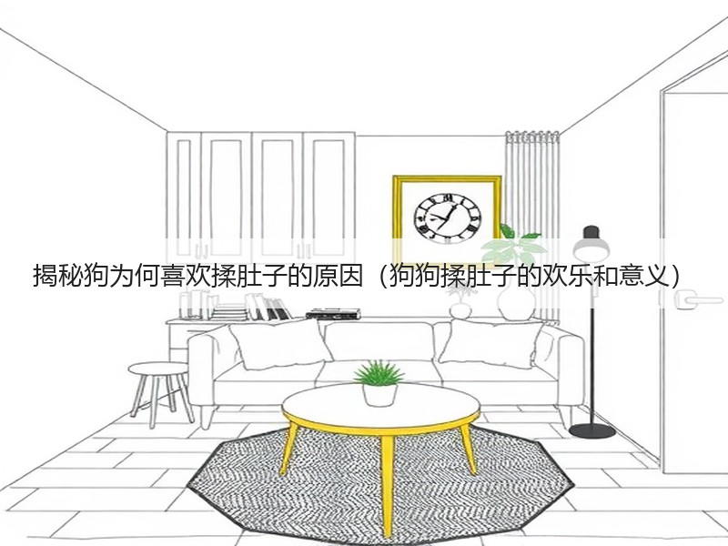 揭秘狗为何喜欢揉肚子的原因（狗狗揉肚子的欢乐和意义）