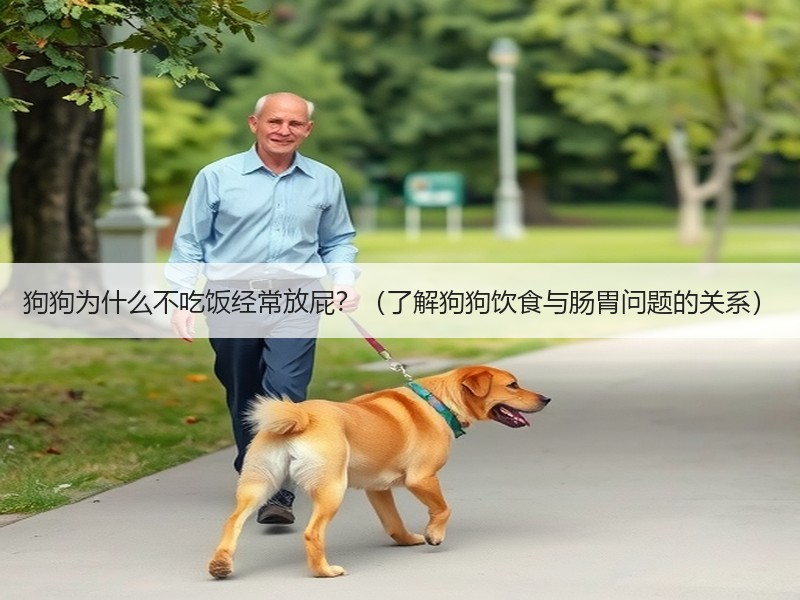 狗狗为什么不吃饭经常放屁？（了解狗狗饮食与肠胃问题的关系）