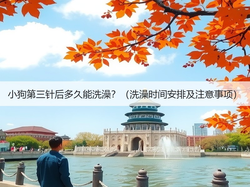 小狗第三针后多久能洗澡？（洗澡时间安排及注意事项）