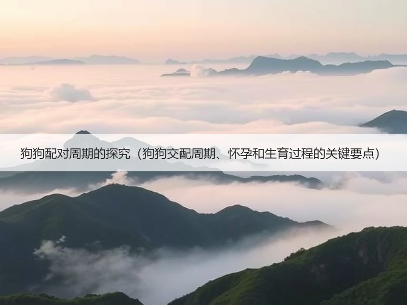 狗狗配对周期的探究（狗狗交配周期、怀孕和生育过程的关键要点）