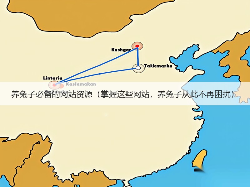 养兔子必备的网站资源（掌握这些网站，养兔子从此不再困扰）
