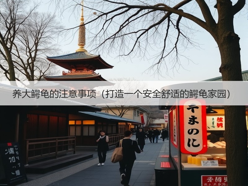养大鳄龟的注意事项（打造一个安全舒适的鳄龟家园）