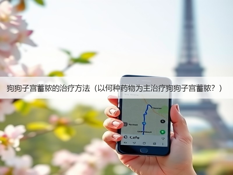 狗狗子宫蓄脓的治疗方法（以何种药物为主治疗狗狗子宫蓄脓？）