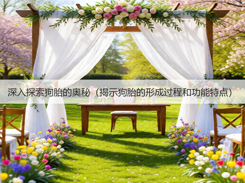 深入探索狗胎的奥秘（揭示狗胎的形成过程和功能特点）
