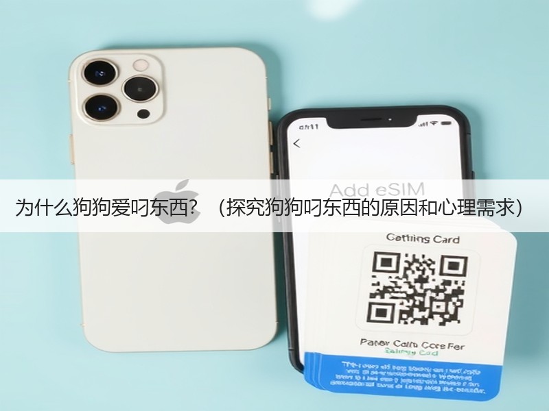 为什么狗狗爱叼东西？（探究狗狗叼东西的原因和心理需求）