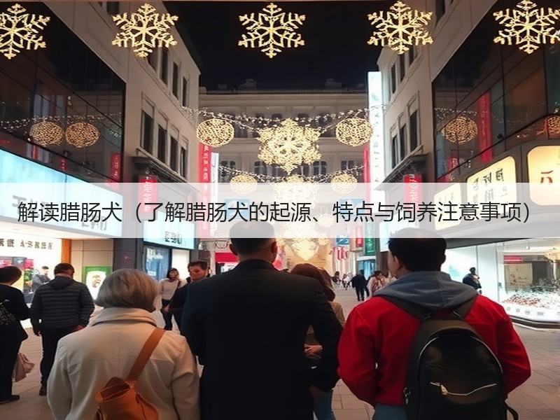 解读腊肠犬（了解腊肠犬的起源、特点与饲养注意事项）