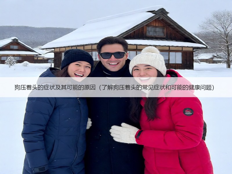 狗压着头的症状及其可能的原因（了解狗压着头的常见症状和可能的健康问题）