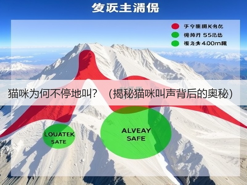 猫咪为何不停地叫？（揭秘猫咪叫声背后的奥秘）