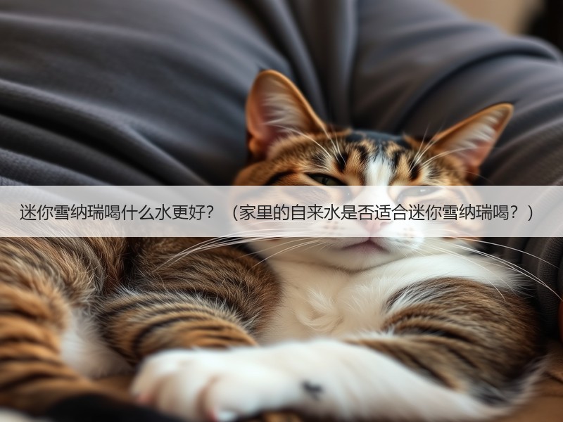 迷你雪纳瑞喝什么水更好？（家里的自来水是否适合迷你雪纳瑞喝？）